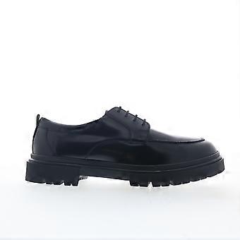 Zapatos Oxford y zapatos con cordones casuales para hombre Steve Madden Zelle