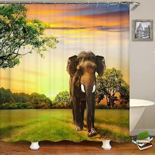 Bathroom Curtain  type-2046 Home Decor