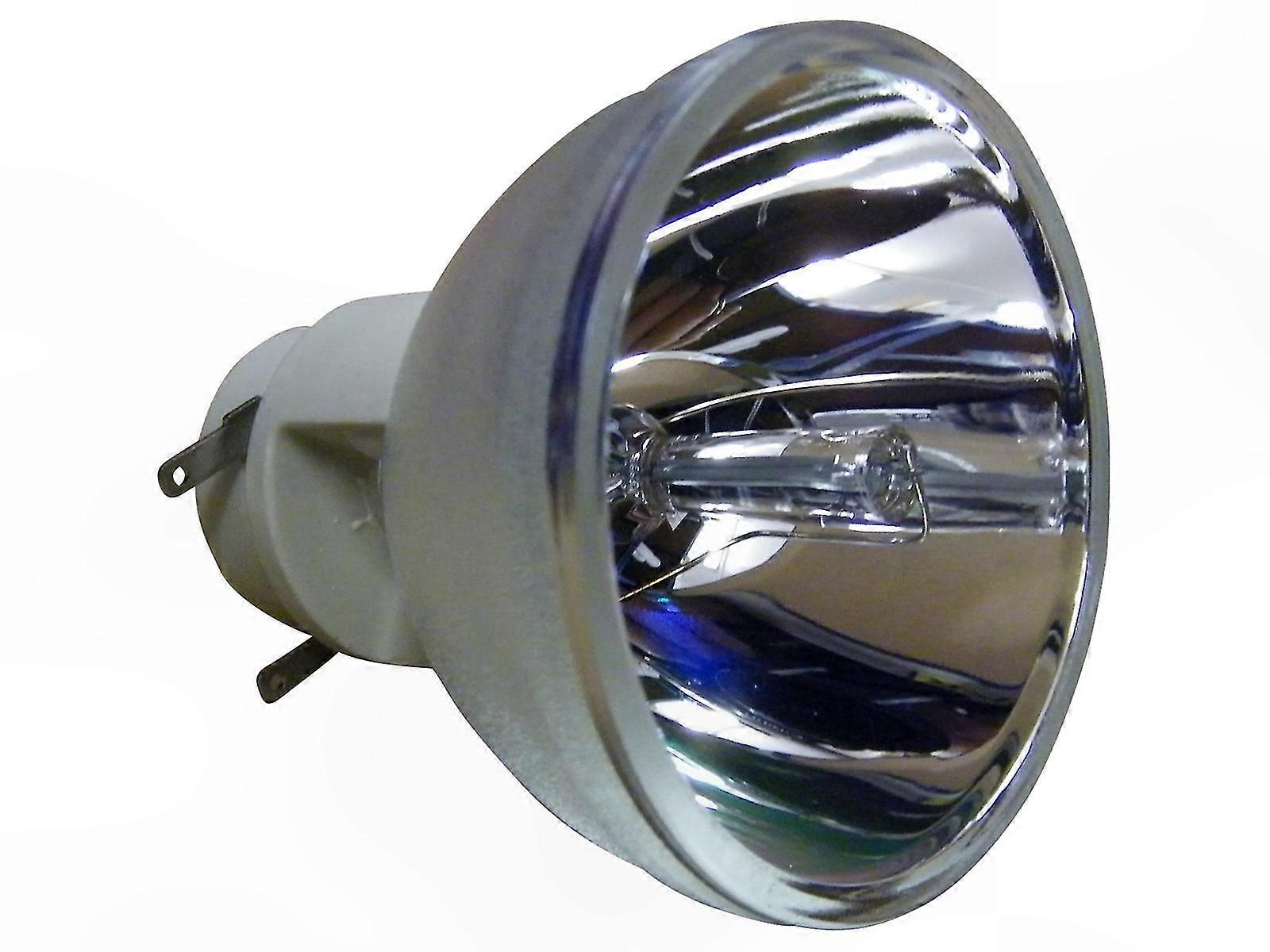 Projector Replacement Lamp 240W 0.8 E20.9N for Projectors