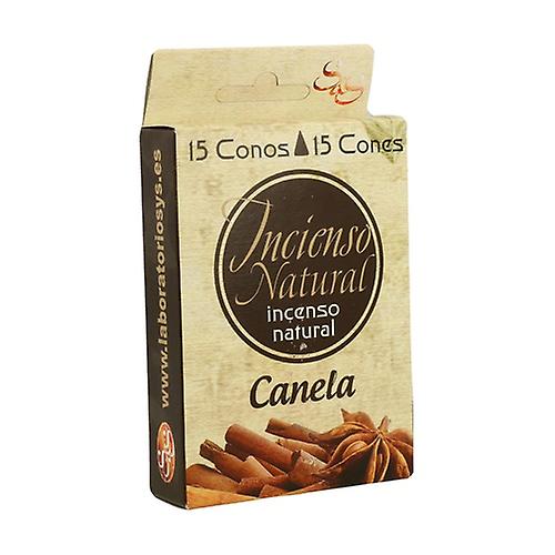 Cinnamon Incense Cones 15 units