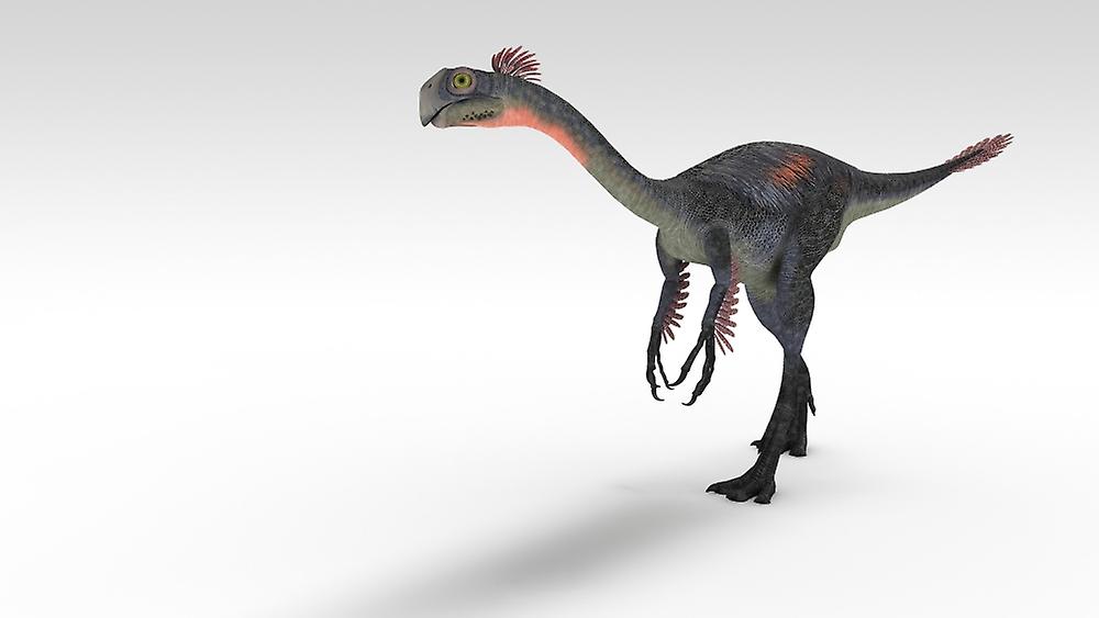 Gigantoraptor dinosaur, white background. Poster