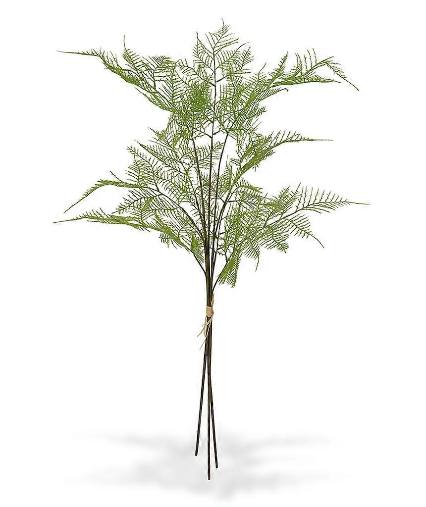 Asparagus branch bundle (85 cm)