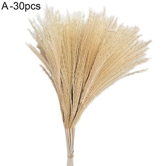 Excelente pacote de junco sem murcha longa vida útil fácil cuidado