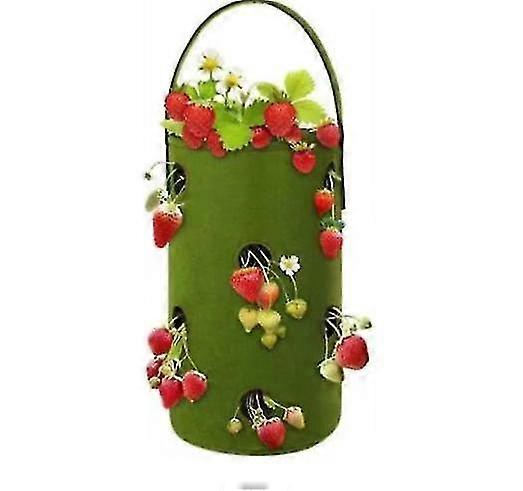 Felt Strawberry Planting Bag