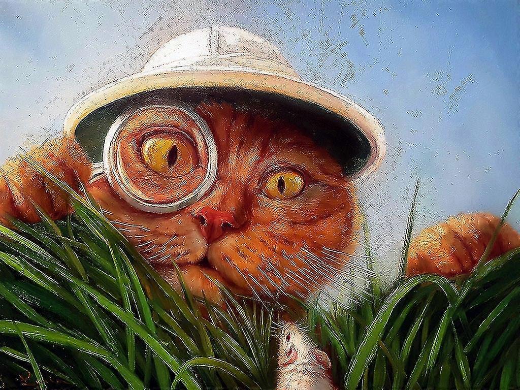 5d Diy Diamond Painting Explorer - Diamond Painting Kit