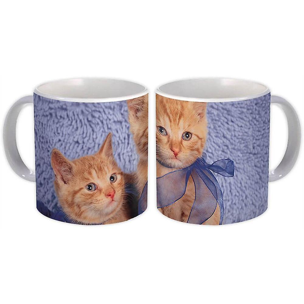 Hediye Kupa: Kedi Hayvan