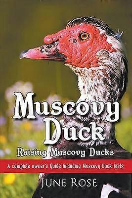 Pato Berbero Criando Patos Berberos