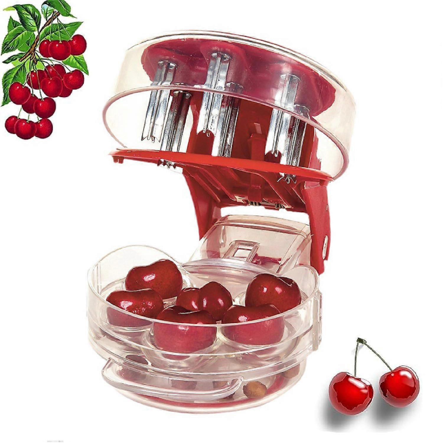 Cherry Pitter Tool Pit Remover,Cherries Seed Remover 6 at A Time, Multifunction Cherry Pit Remover