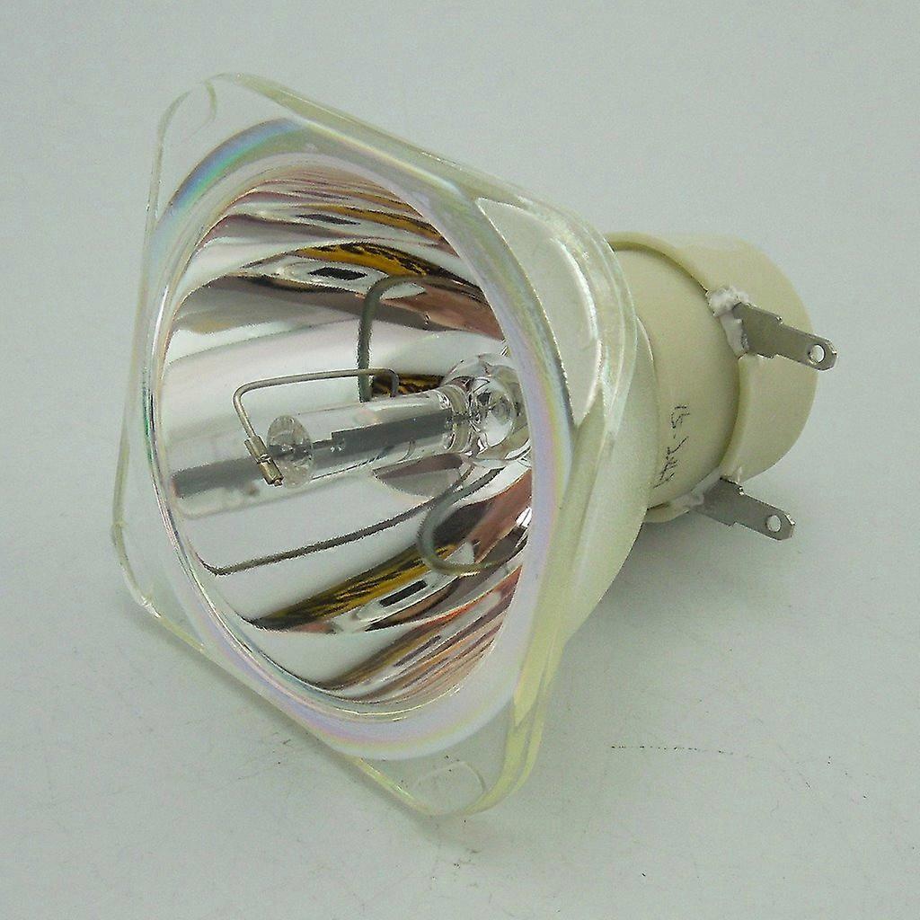 Original Bare Bulb Replacement Projector Lamp Compatible with Home Theater Projectors, 260W, High Brightness, No Housing
