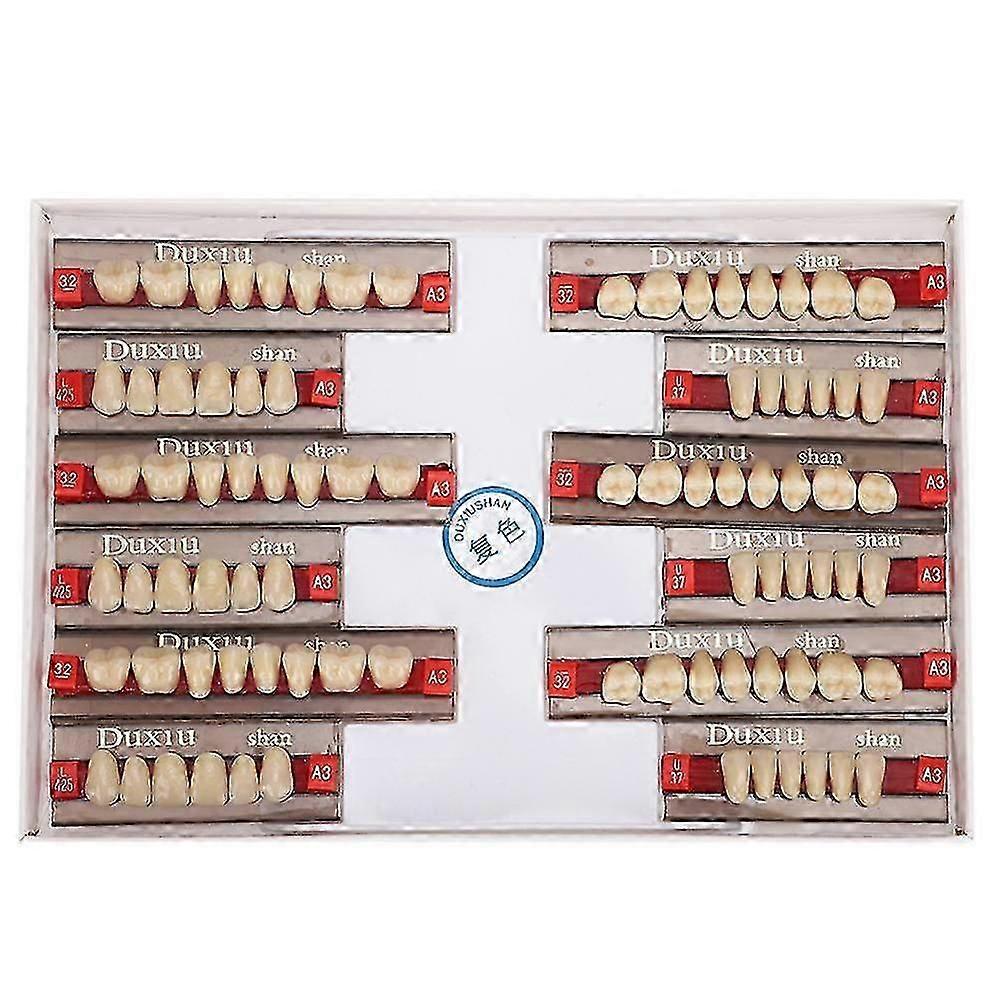 Synthetic Resin Tooth,resin Denture LEA