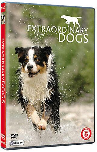 Extraordinary Dogs DVD (2011) cert E 2 discs - Regio 2