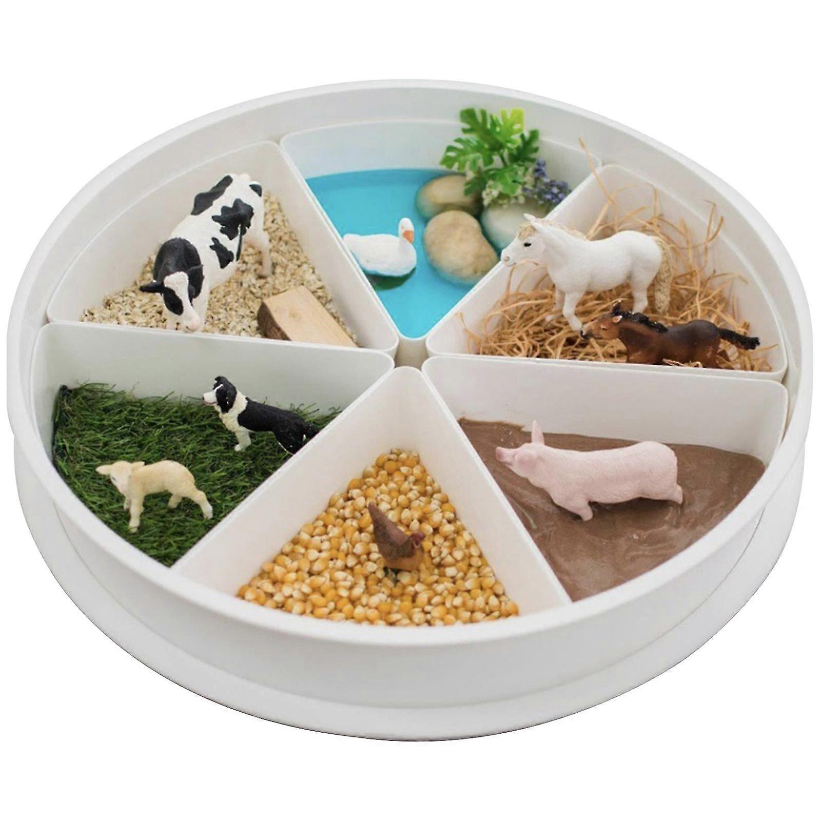 Creative Sensory Playtray Set With Antislip Strips For Kids Education Toy For Cognitive Development And Sensory Playing