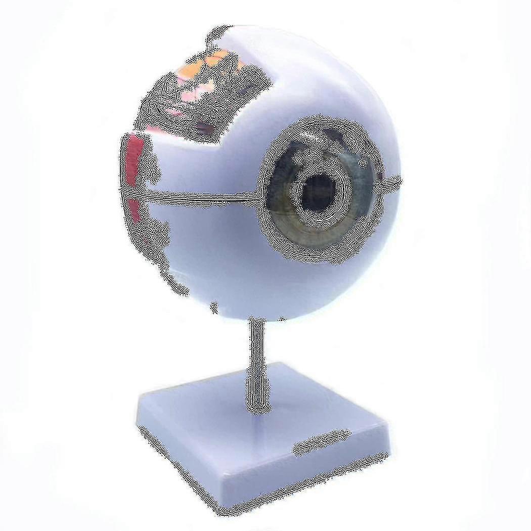 6x Enlarged Human Eye Anatomical Model,anatomically Accurate Eye Mo...