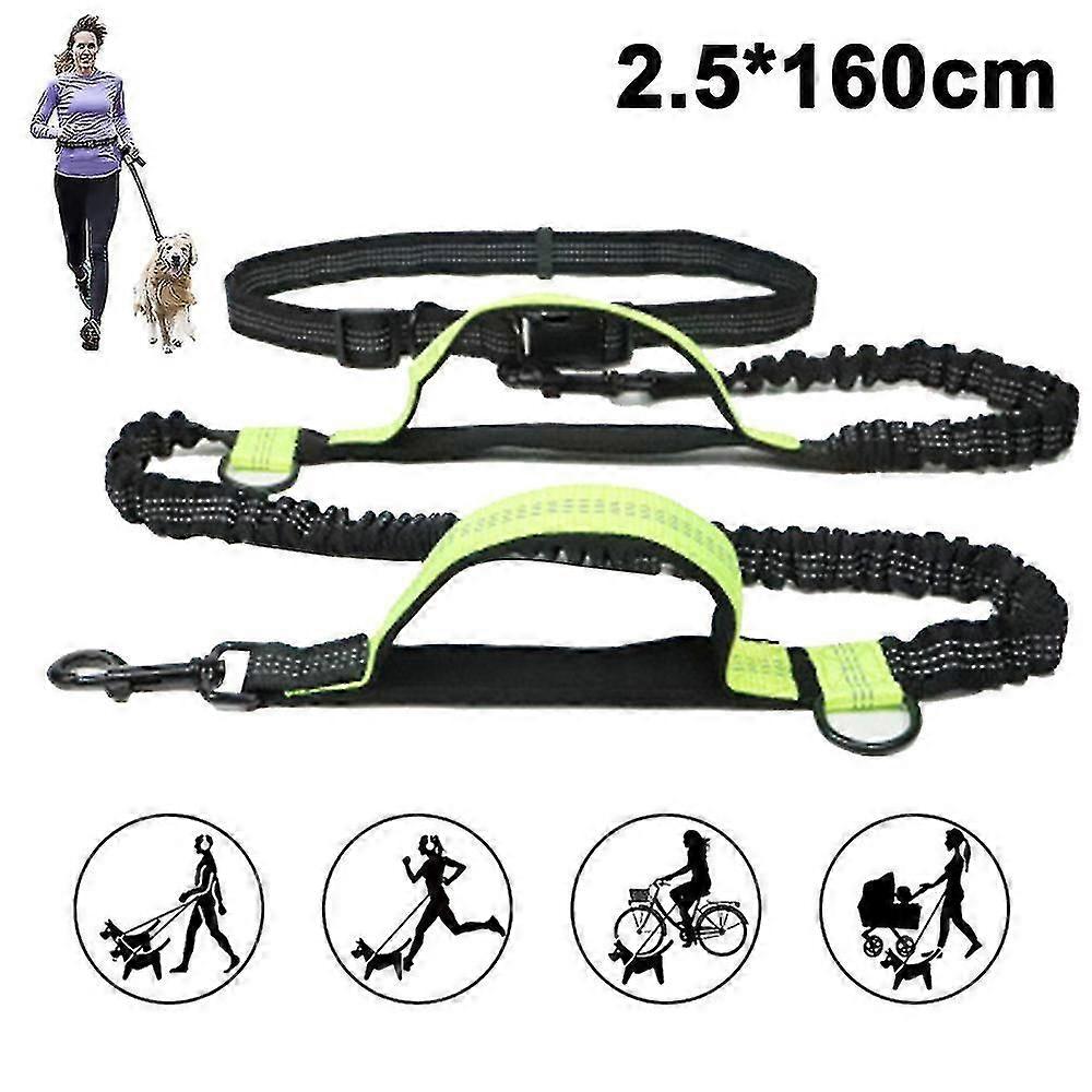 Jogging Dog Leash, Upgrade Hands-free Dog Leash With Two Bungees