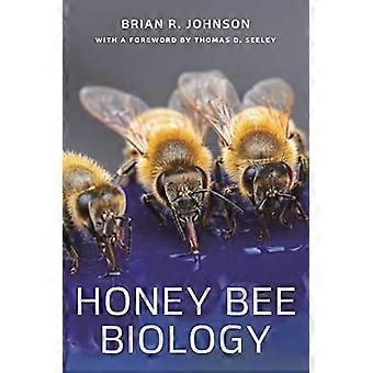 Mehiläisten biologia