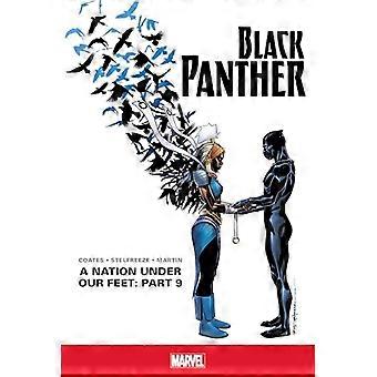 Kansakunta jalkojemme alla: Osa 9 (Black Panther)