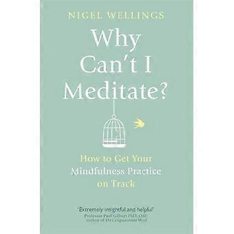 Why Can't I Meditate - NIGEL WELLINGS - Paperback - en Book