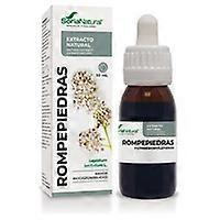 Stonebreaker Extract (Formula XXI) 50 ml