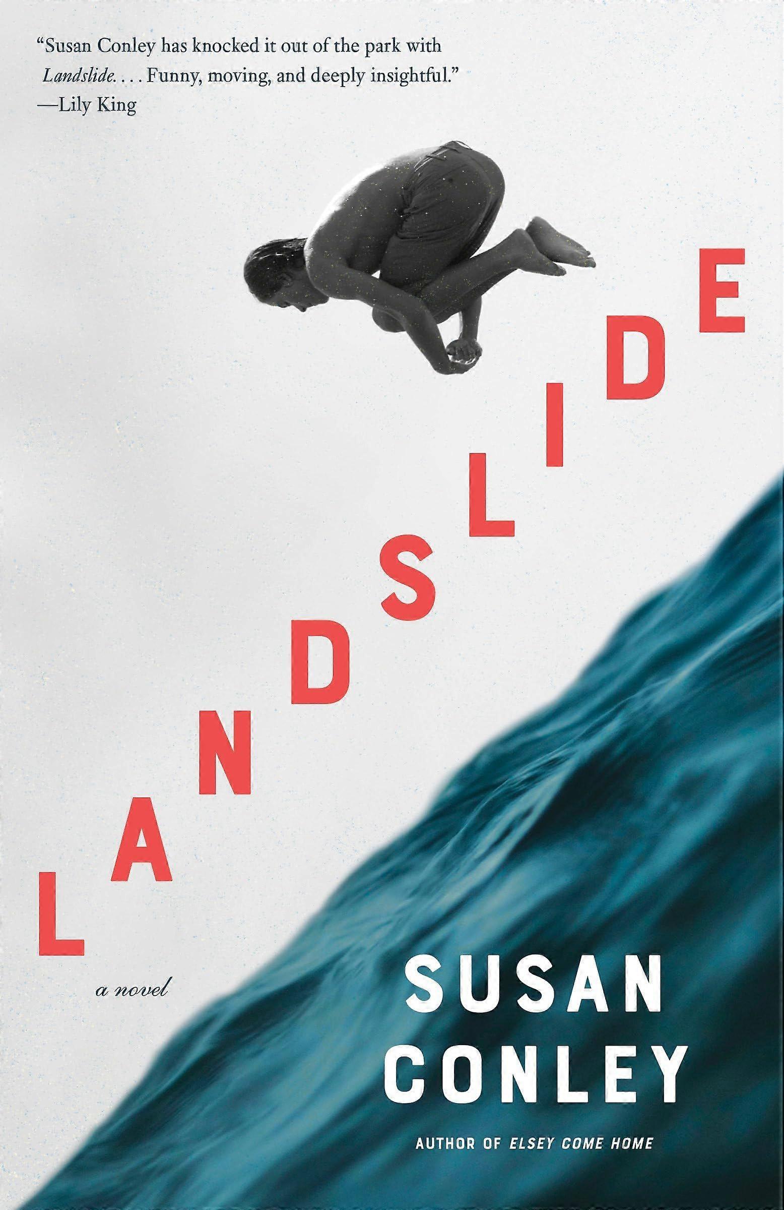 Landslide a novel