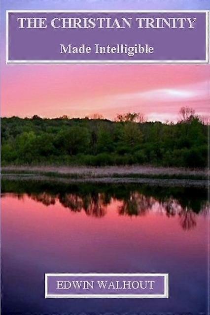 The Christian Trinity - Edwin Walhout - Paperback - en Book