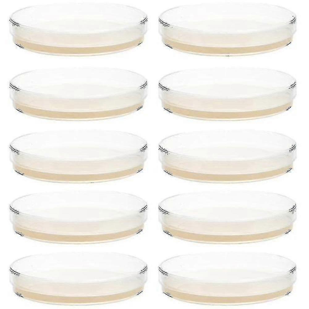 10pcs Prepoured Agar Plates Petri Dishes With Agar Experiment