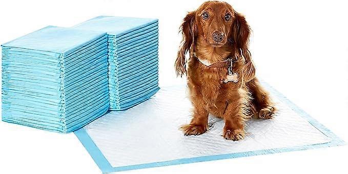 Dog and Puppy Pee Pads with Leak-Proof Quick-Dry Design for Potty Training, Heavy Duty Absorbency, Regular Size, 60*60CM, Pack of 40, Blue & White