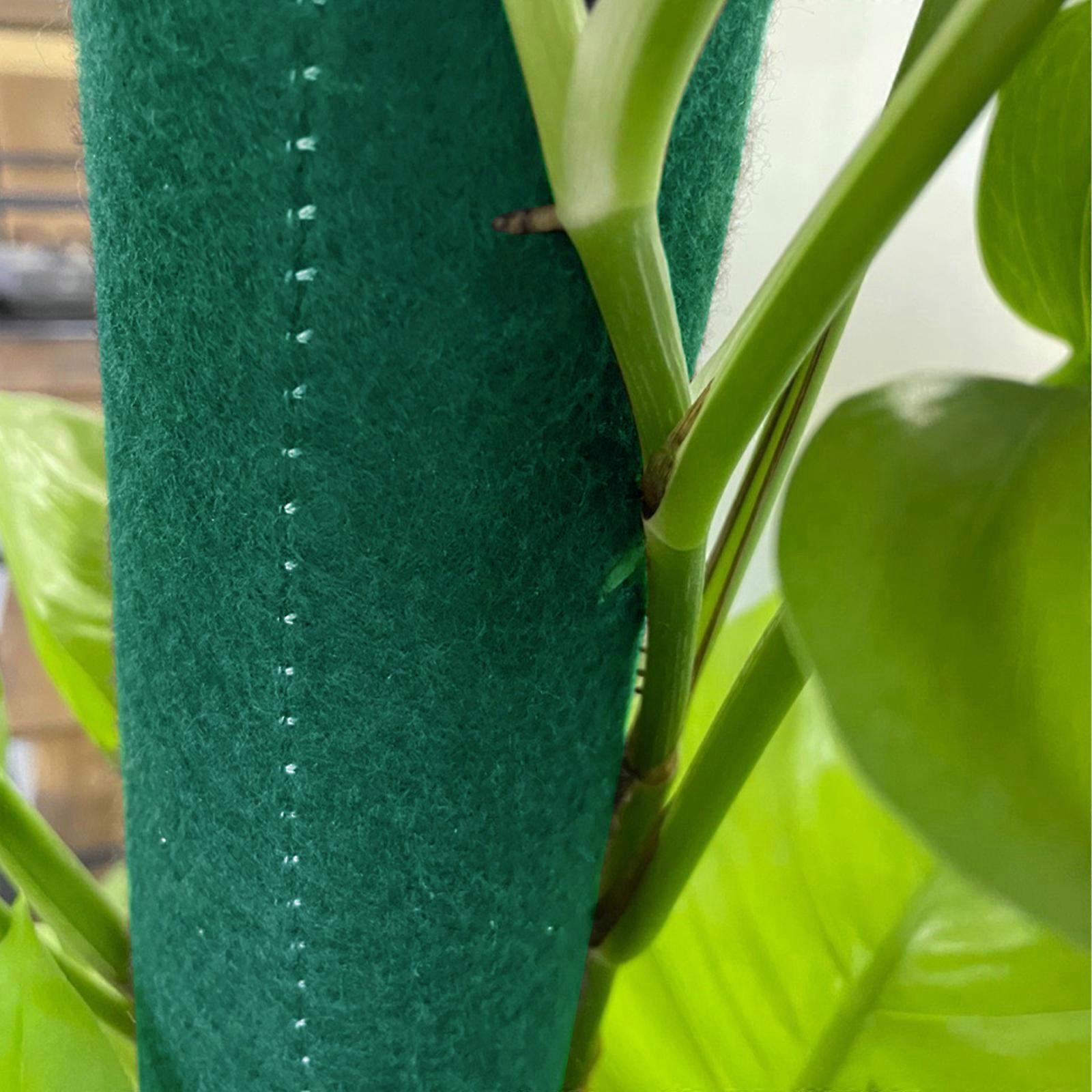 2023 New Climbing Plants Support Poles (4-Pack) - Stackable, Moisture-absorbent, Eco-friendly Felt Material