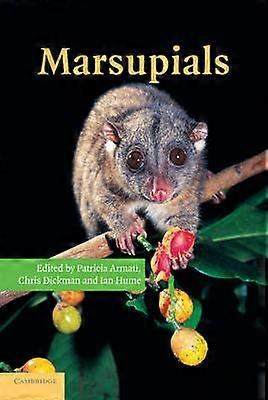Marsupials