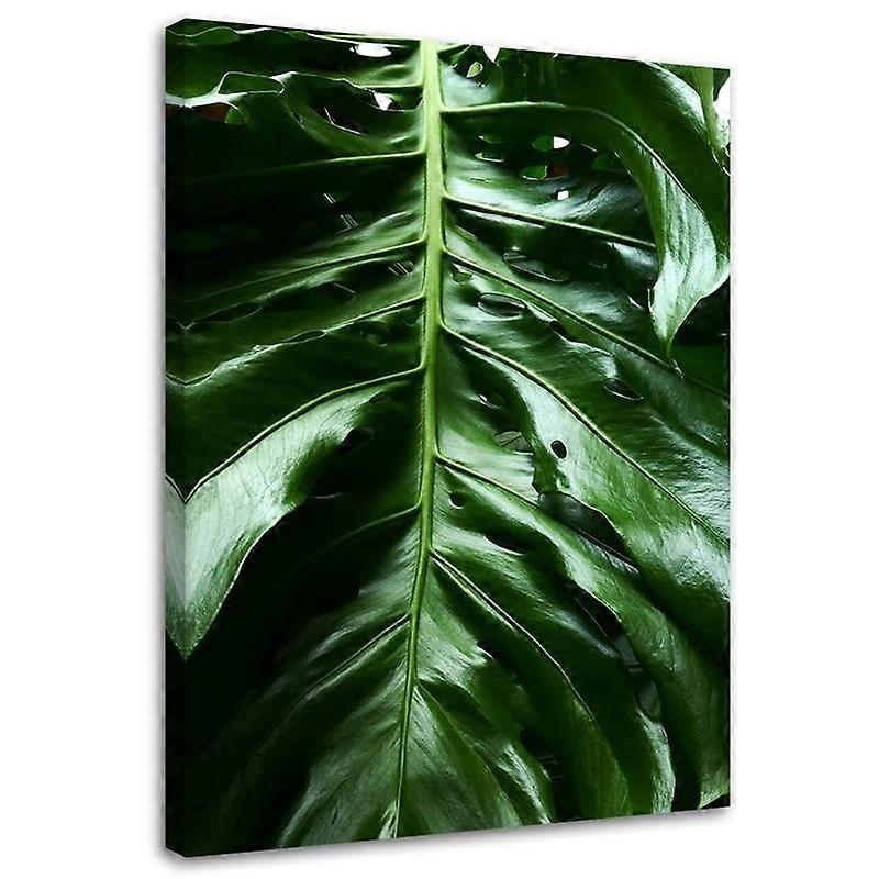 Lienzo Hoja lisa de monstera - 70x100