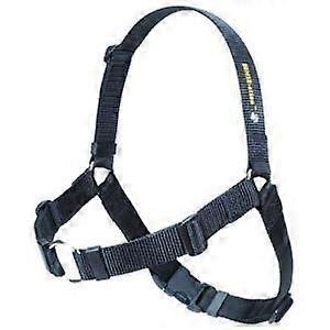 No-Pull Dog Harness Black XSmall Adjustable Lightweight Breathable Design for Small Dogs