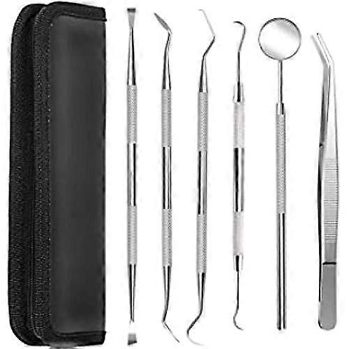 歯科用ツールセット - 6 パック ステンレススチール製歯のクリーニング キット、歯科用スクレーパー、ピンセット、マウスミラー付き、家族やペットのケア用