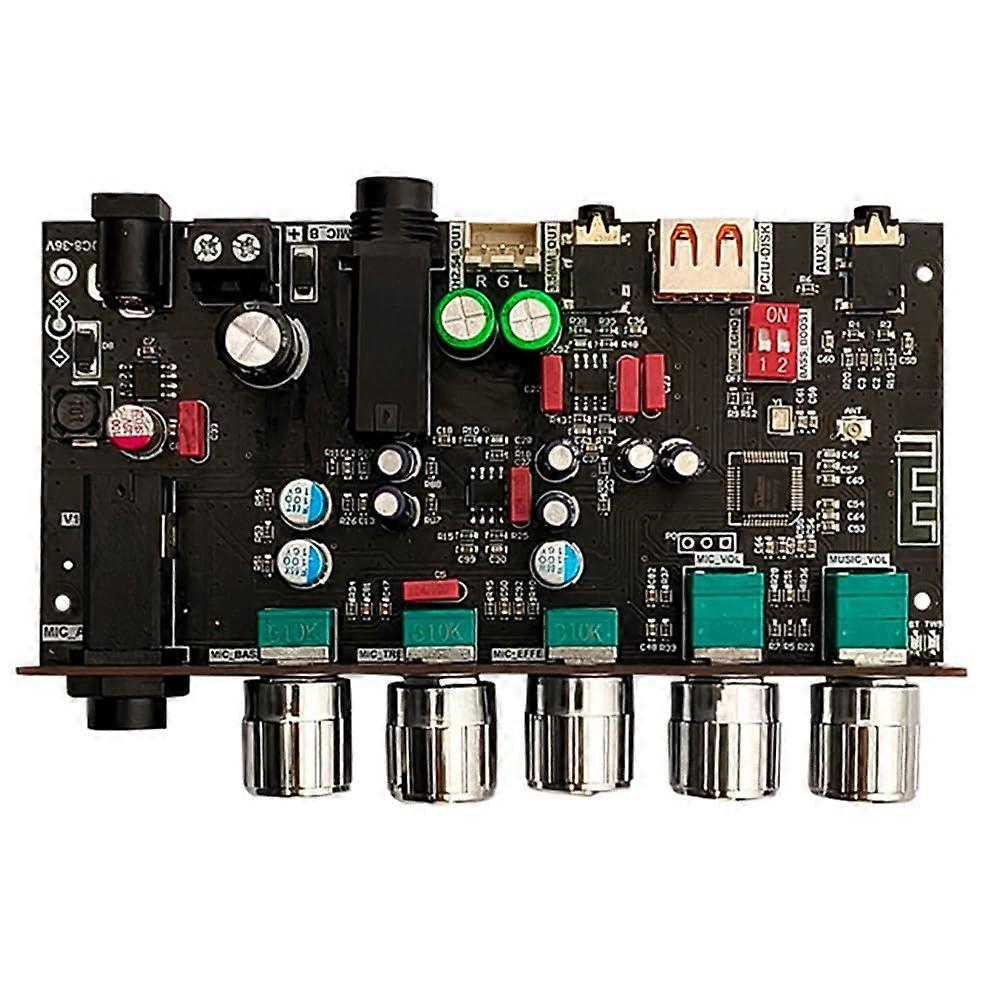 H1 Karaoke Reverb Board with Front Effect Microphone, Bluetooth USB Decoder for Vocal Performance