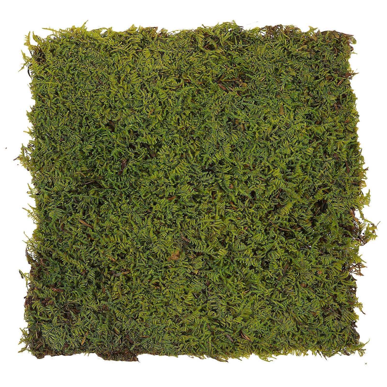 Brighten Your Toy Home with Realistic Artificial Turf Decor for Decoration Green EPE Foam 0.5mm