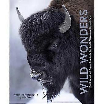 Wild Wonders: de ongetemde en raadselachtige dieren die in Yellowstone National Park leven