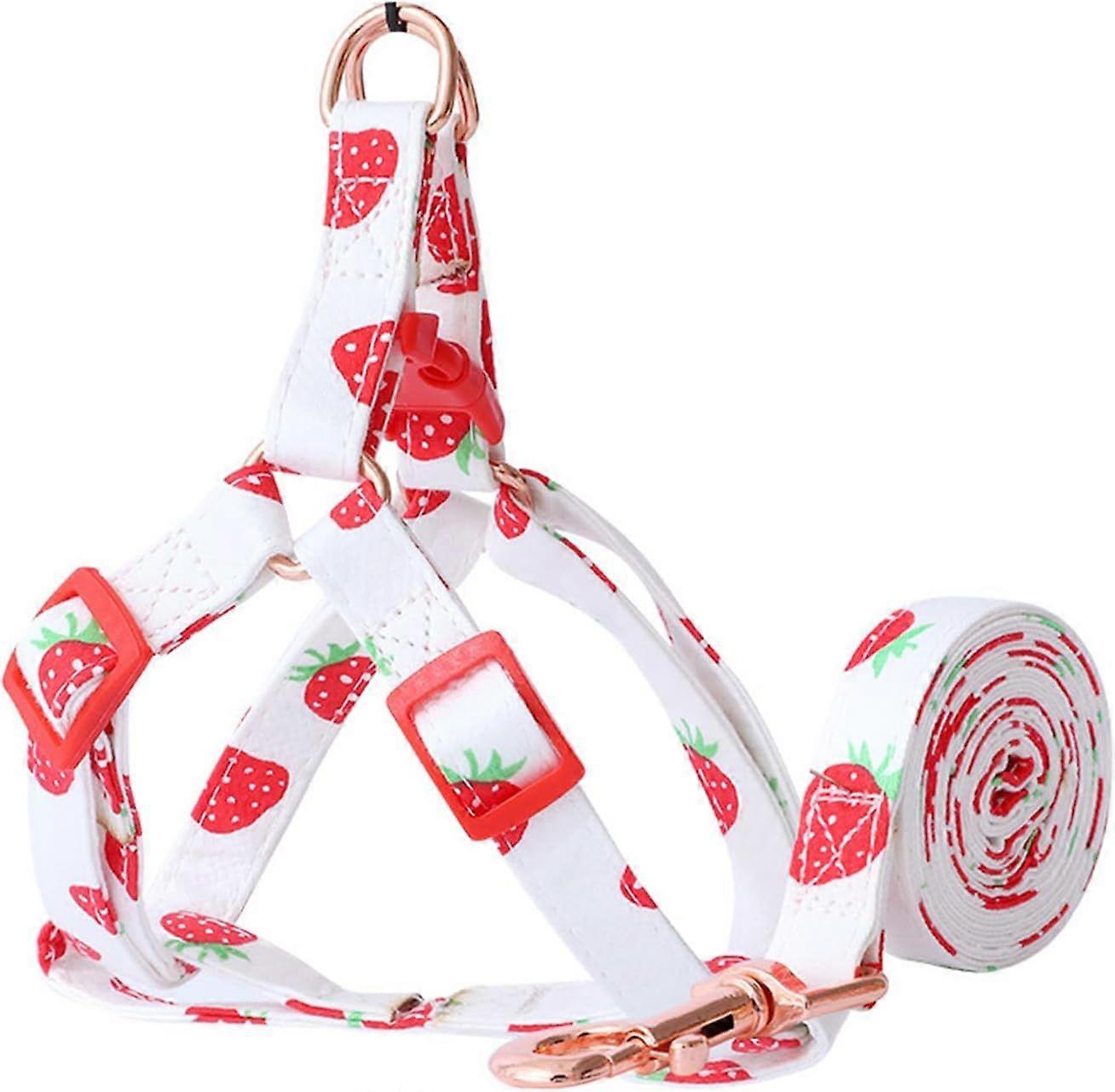 Pet Harness with Leash, Fruit Style Dog Harness Pull On Adjustable Lightweight