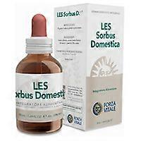 Les sorbus domestica circulation 50 ml