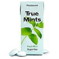 Mint flavor candy 13 g