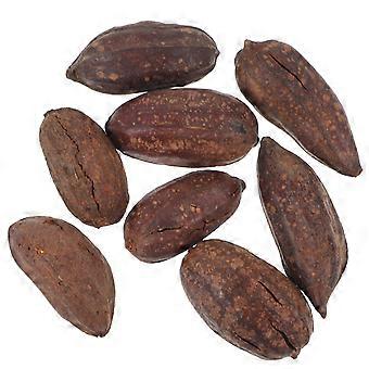 8 pz Uccello Masticare Frutta Secca Pappagallo Naturale Raccoglimento Giocattoli Accessori Da Masticare per Budgie Parrocchetto