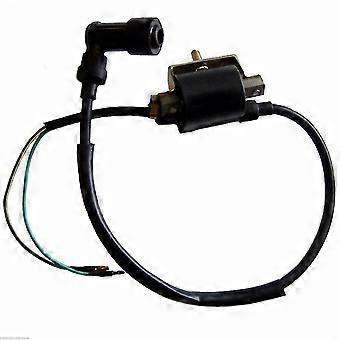 thumbnail image 2 of TDPRO Motobike Regulator Ignition Coil CDI Spark Plug 90cc 110cc 125cc 2 of 14