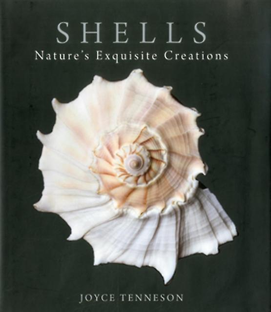 Shells by Joyce Tenneson Hardback Book