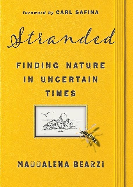 Stranded by Maddalena Bearzi Hardback Book