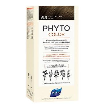 Phyto PhytoColor Permanent Color - Hair Colour: 5.3 Golden Light Chestnut