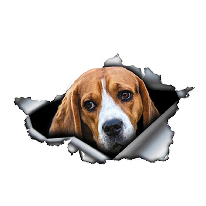 Funny 3D Pet Car Sticker for Car Window