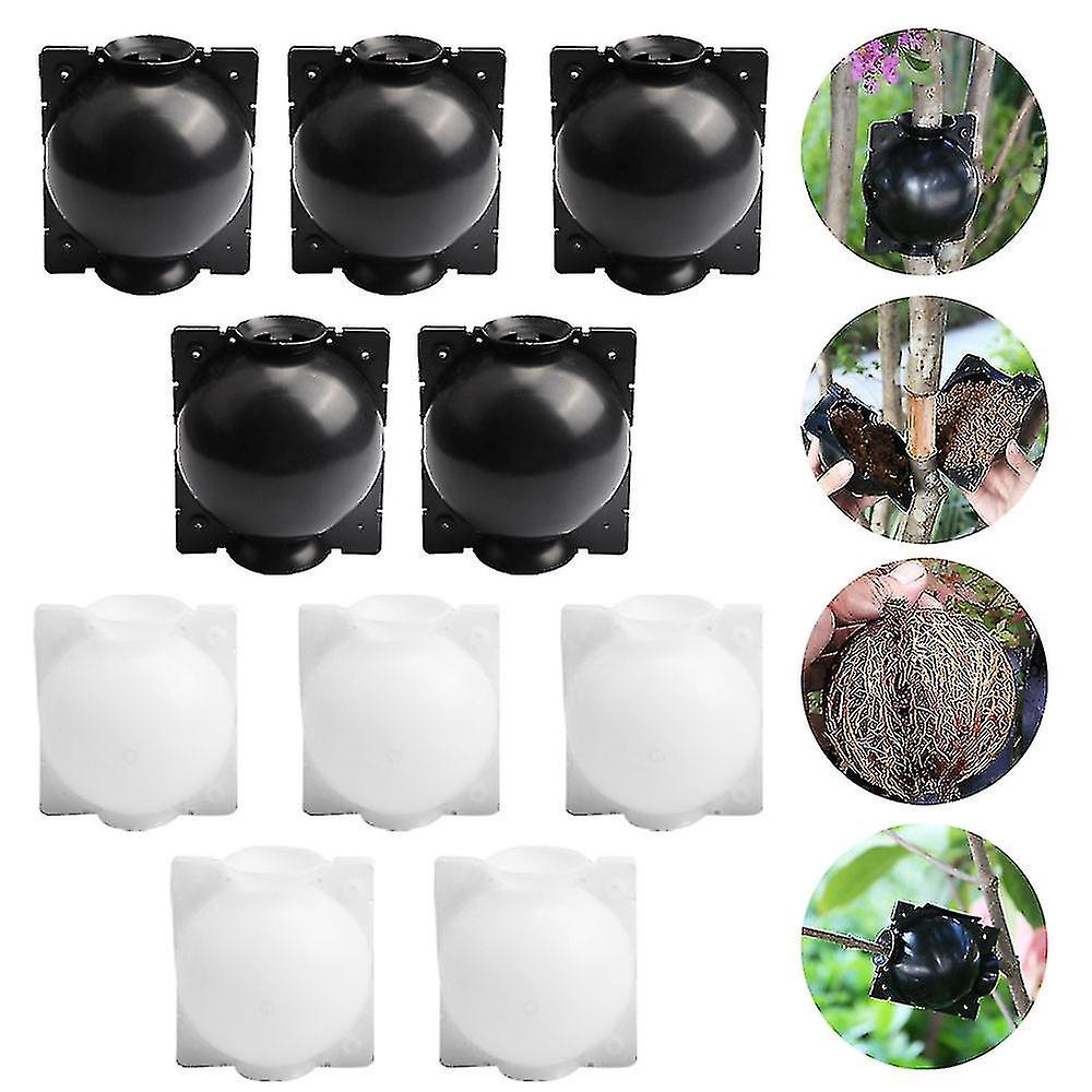 10 Pack Plant Rooting Deviceplant Root Growing Box For Plant Propagation Reasable Propagation Rooting Ball Tw