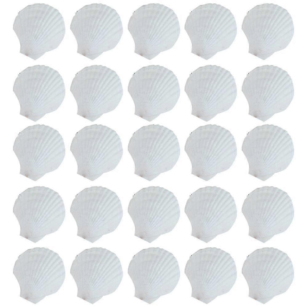 25pcs Natural Scallop Shell, Special For Handmade Diy Coloring Shell