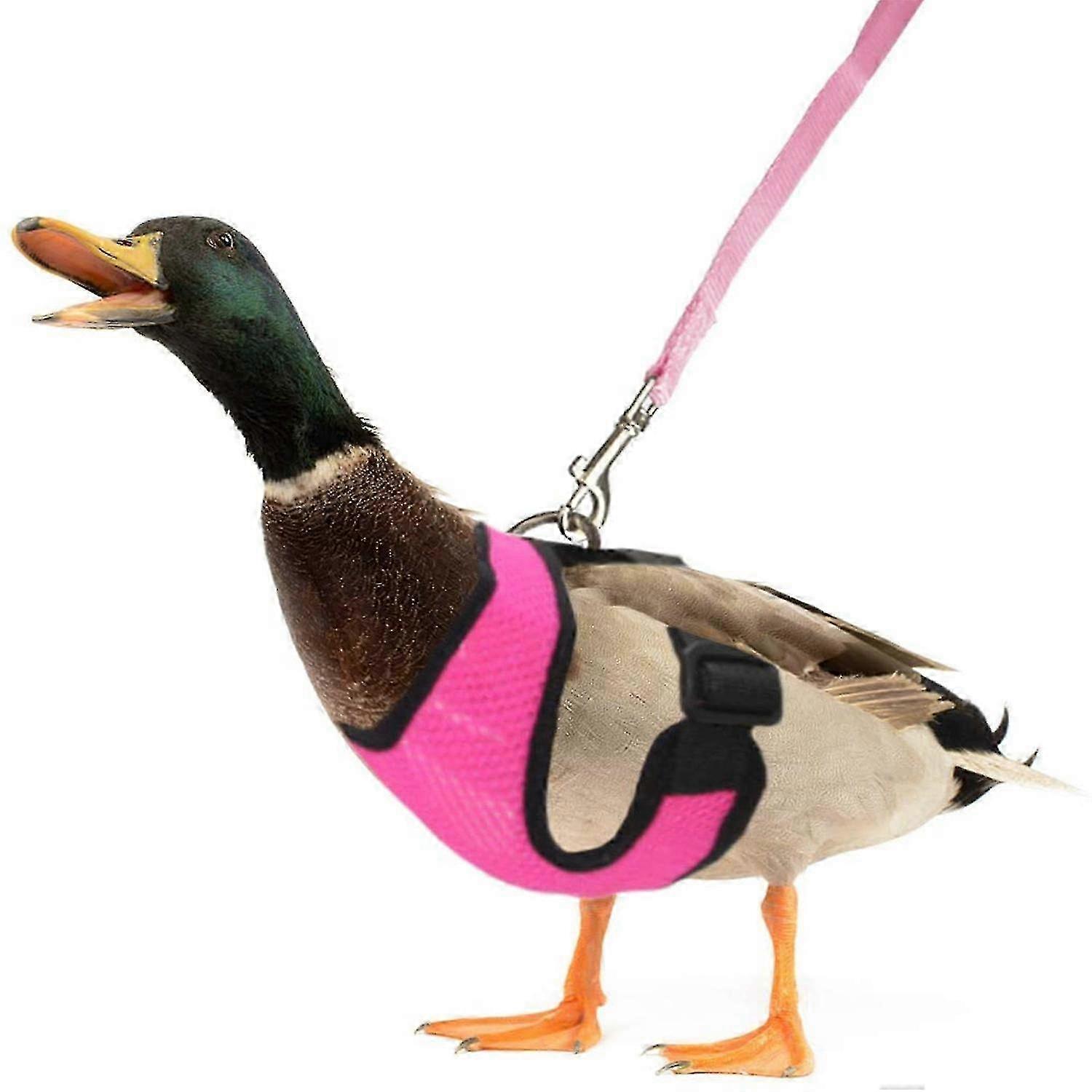 Chicken Harness And Leash Set Comfortable Ajustable Vest For Duck Goose Puppy - JV