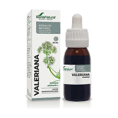 Valerian Extract (XXI Formula) 50 ml