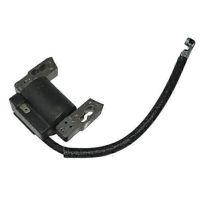 Ignition Coil Briggs & Stratton 797040 Ignition Coil High Voltage Pack Igniter