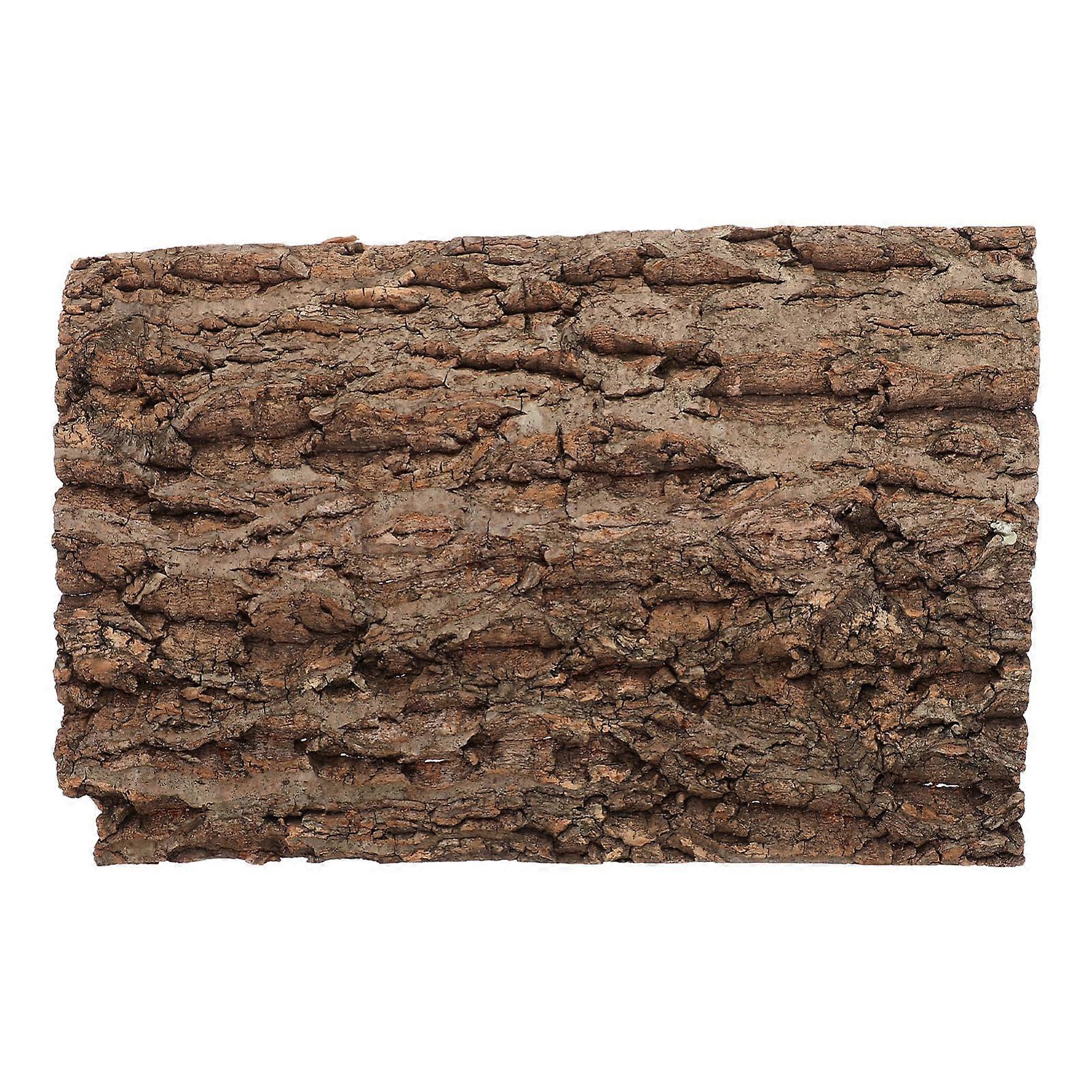 Cork Bark Background Reptile Tank Accessories 20 x 30 cm Reptile Decoration Reusable