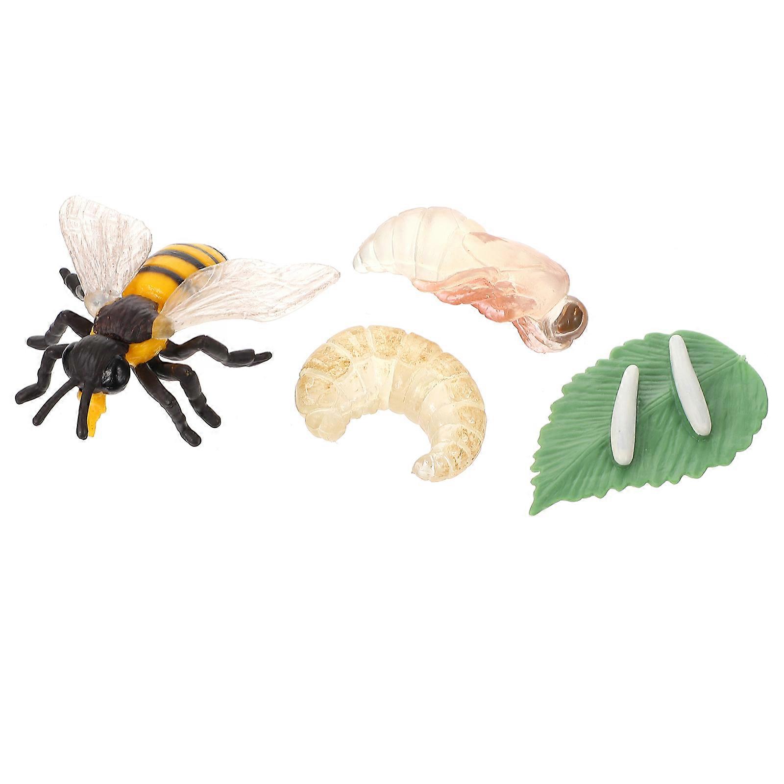 Simulation Bee Model Educational Growth Cycle Miniature for Preschool Science Teaching Insect Learning Tool